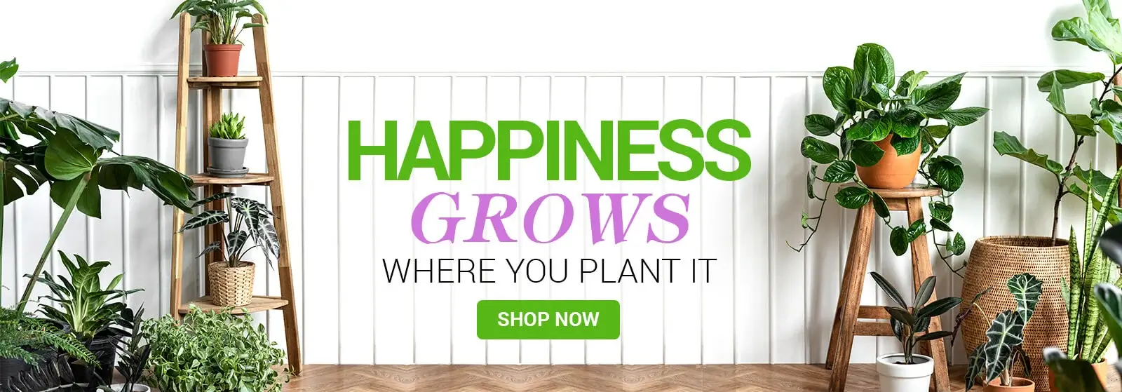 Bnbplants.com header