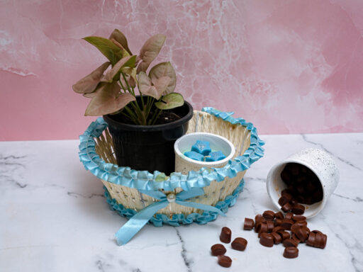 Combos- Plant, Coffee Flavor Soy Wax Melts and Candle