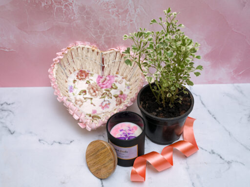 Combos – Plants and candles gift sets