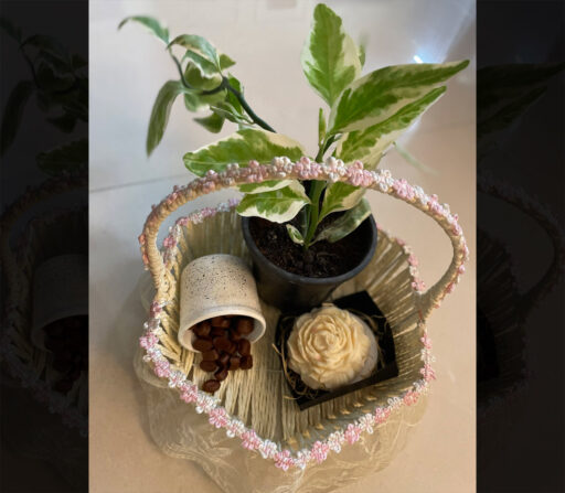 Combos – Plant, Candle and Soy Wax Melts