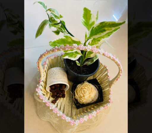 Combos – Plant, Candle and Soy Wax Melts