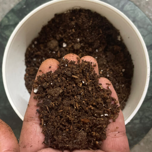 General Purpose Potting Soil – 3 kg