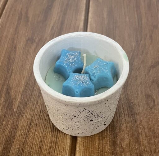 Combos- Plant, Coffee Flavor Soy Wax Melts and Candle