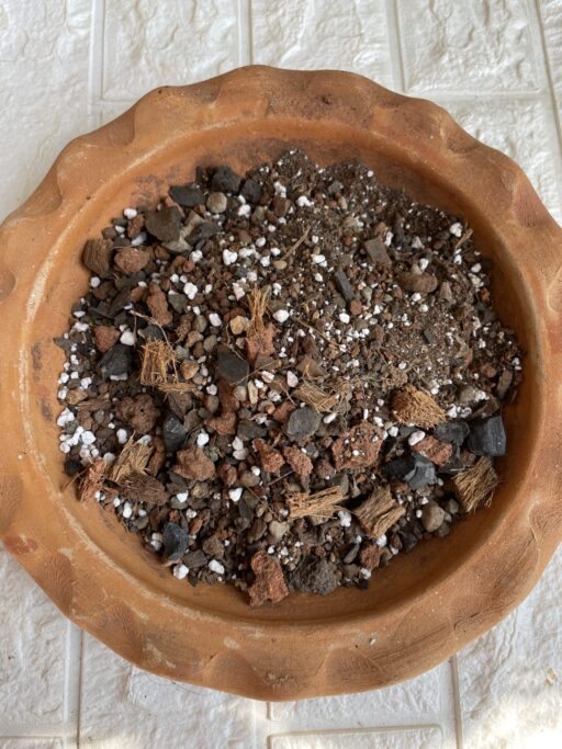 Ready To Use Potting Mix For Succulents