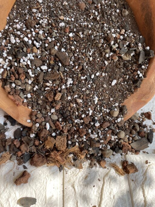 Ready To Use Potting Mix For Succulents
