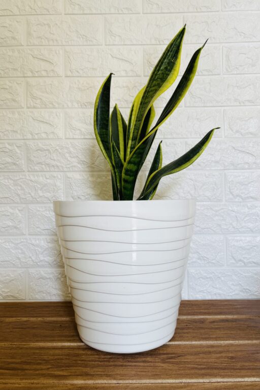 Elegant White Large Size Pot