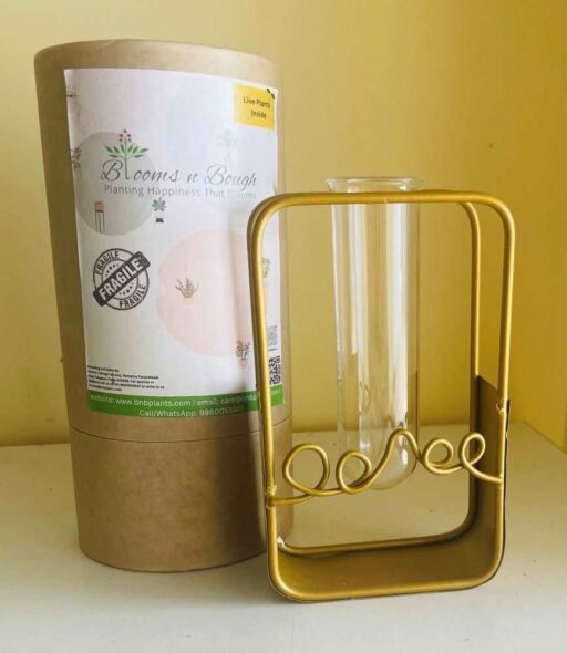 Stylish Metal Frame Glass Tube Planter