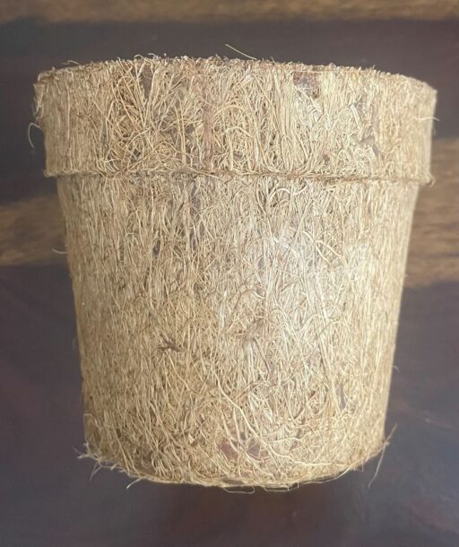 Organic Grow Kit with 4 herb seeds and seed balls