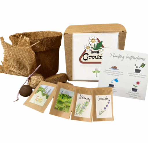 Organic Grow Kit with 4 herb seeds and seed balls