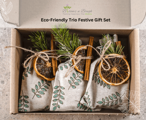 Eco-Friendly Trio Festive Gift Set