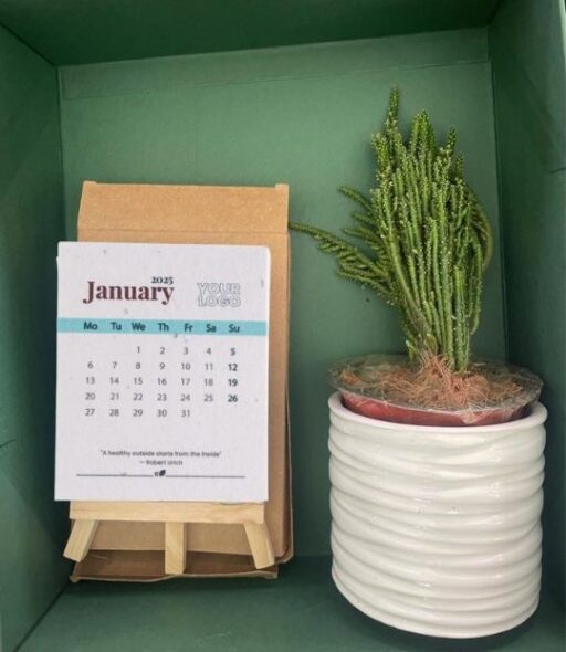 Green Gift Box With Plant And 2025 Seed Paper Calendar