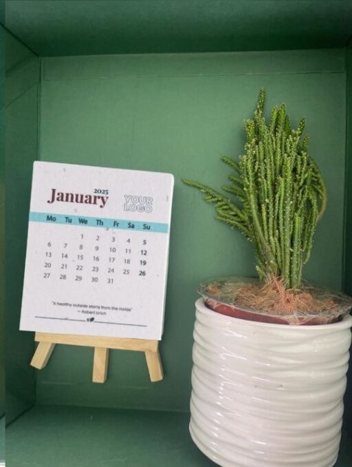 Green Gift Box With Plant And 2025 Seed Paper Calendar
