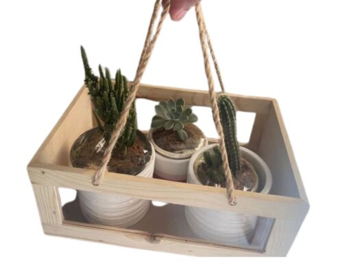 Plants Gift Set of 3