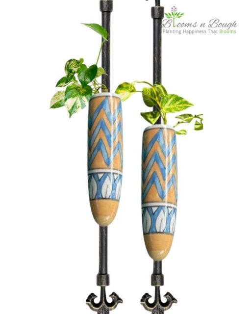 Fridge Magnet Ceramic Planter – Set of 2 with Live Pothos Cuttings