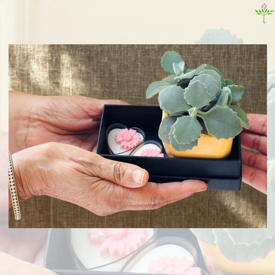 Plant & scented t-light candles gift set in black box – mini eco-friendly hamper.